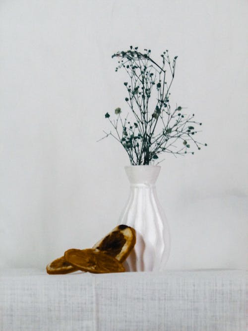 Green Plant in White Porcelain Vase