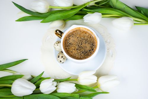 Free Overhead shot of coffee surrounded by white tulips and quail eggs on a white background. Stock Photo