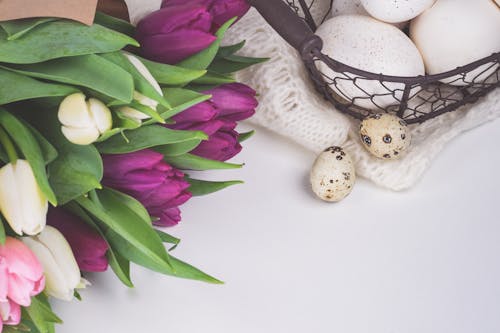 Easter Eggs Beside Tulip Flowers