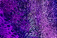 Purple and Green Floral Textile