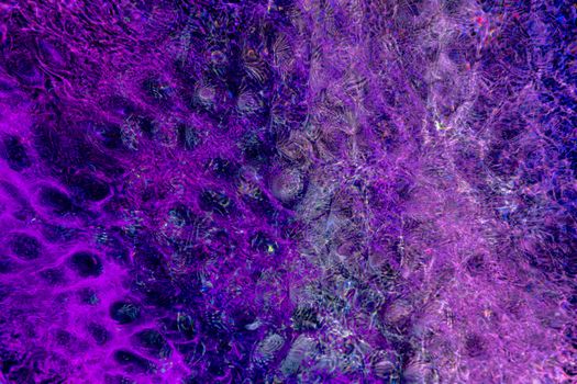 A mesmerizing abstract background with vibrant purple hues and intricate textures.