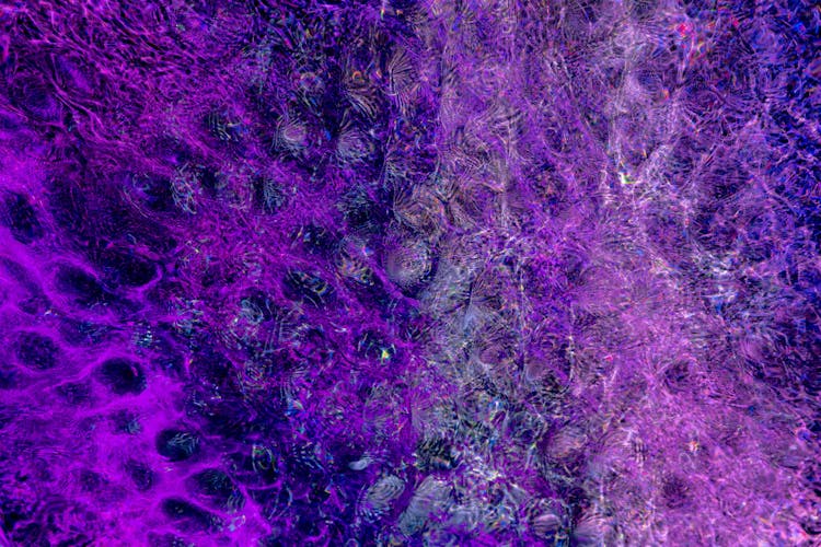 Purple Digital Art In Close Up Shot