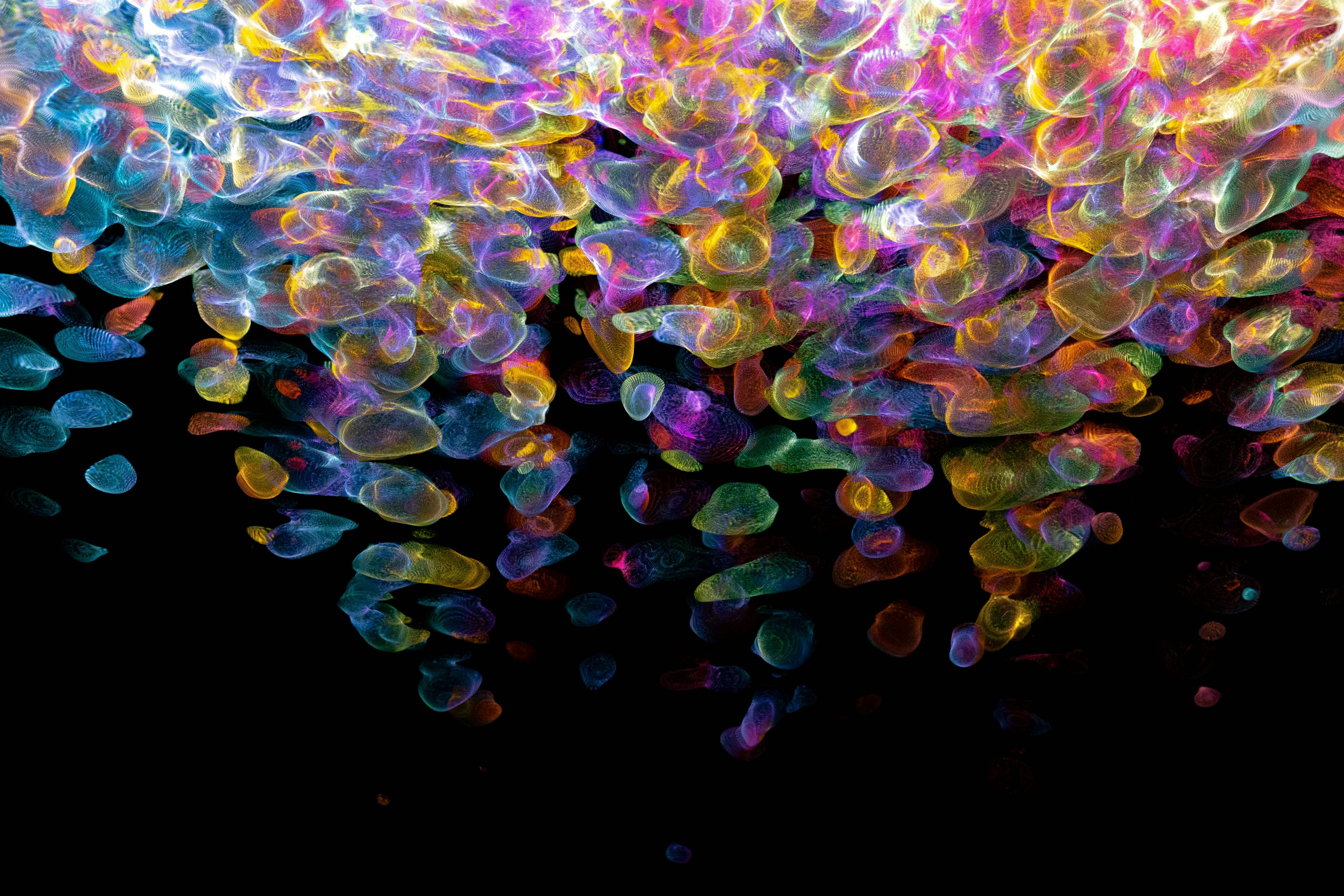 From genes to networks: neurobiological bases of neurodiversity across common developmental disorders — Photo by Merlin Light