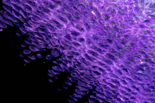 Colorful abstract texture with purple hues creating a unique pattern and digital art backdrop.