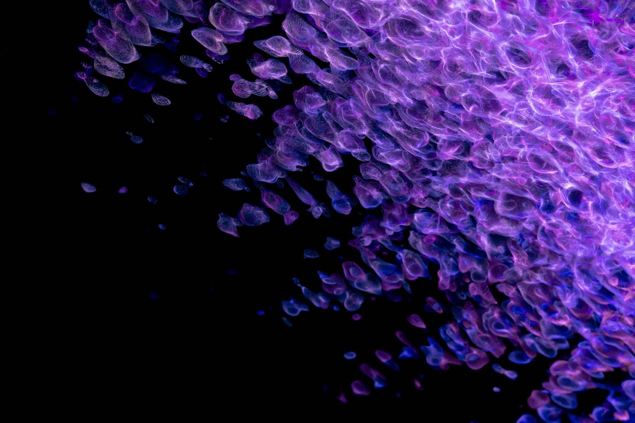 colorful abstract art with swirls of purple and blue against a dark ba