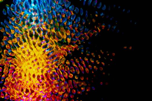 A vibrant abstract light pattern with bold colors on a black background, creating a mesmerizing visual effect.