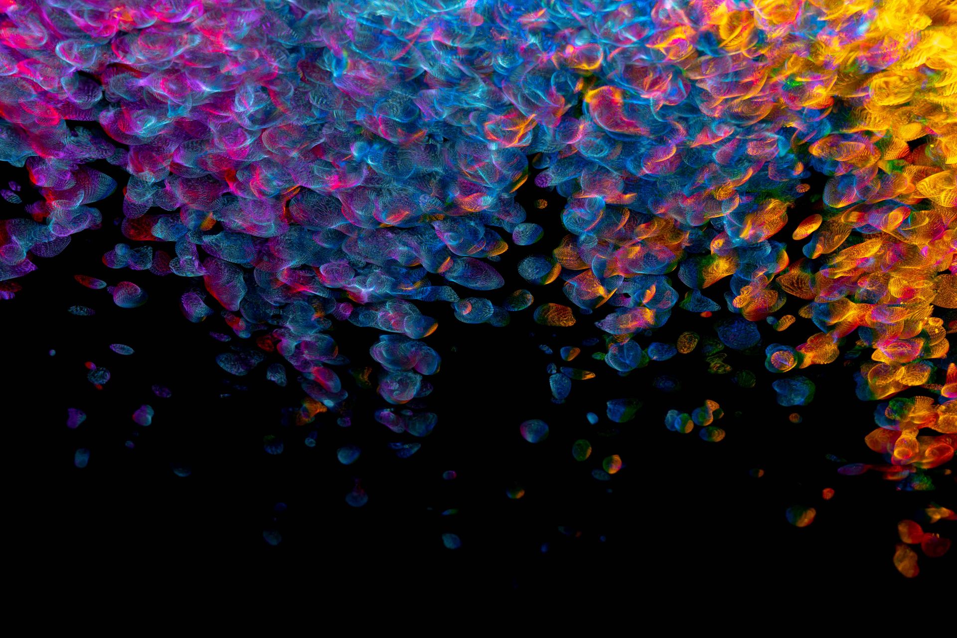 Colorful abstract digital artwork featuring dynamic geometric ripples in vivid colors on a dark background.