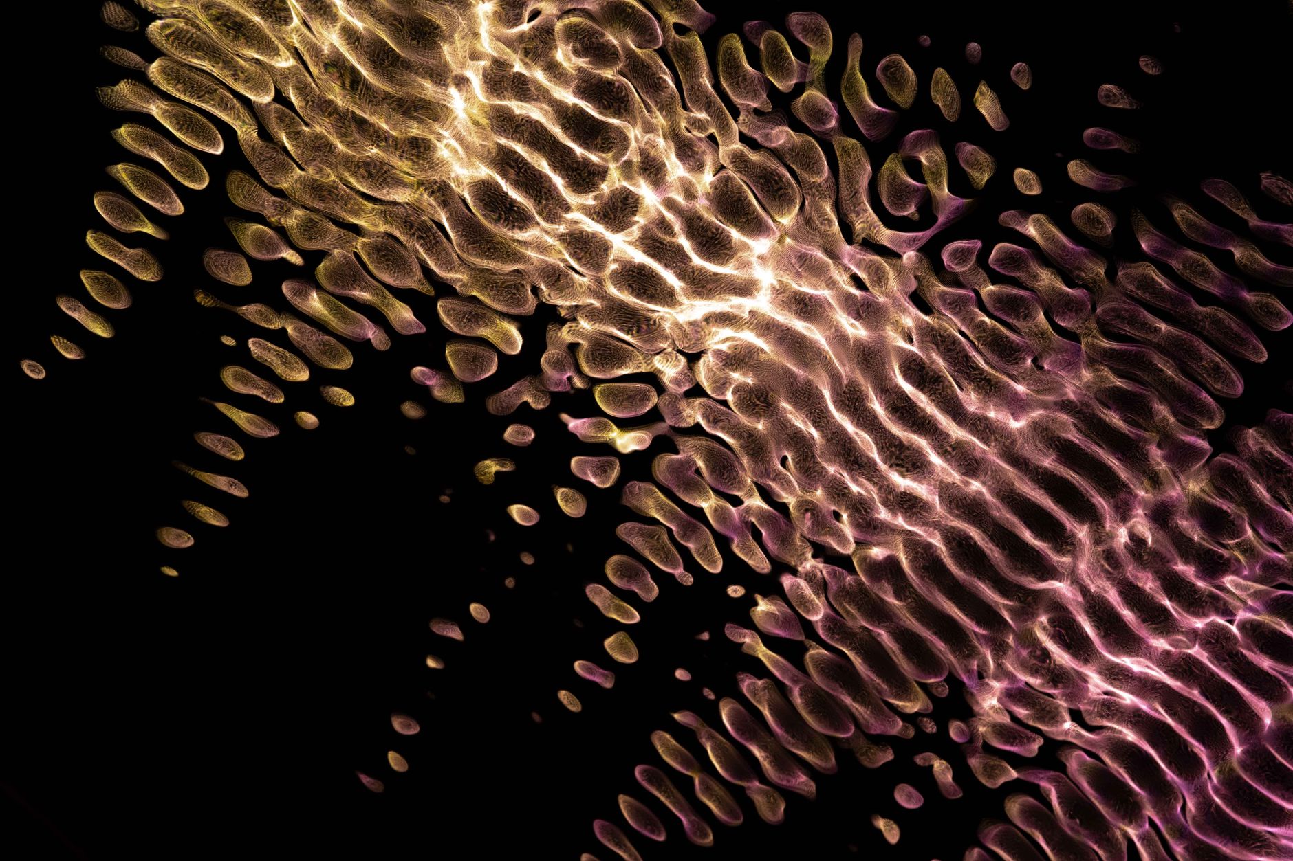 Flux 3 Redefines Digital Focus with Adaptive, Biometric-Driven Design