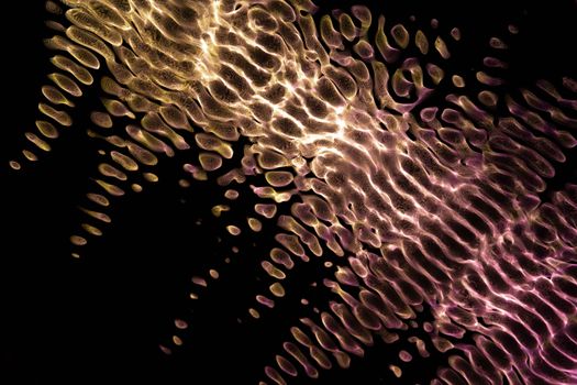 Water Droplets on Black Background