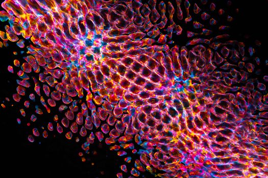 A stunning abstract image featuring vibrant and colorful patterns with intricate textures.