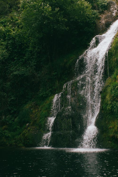 Foto profissional grátis de água, cachoeira, corrente