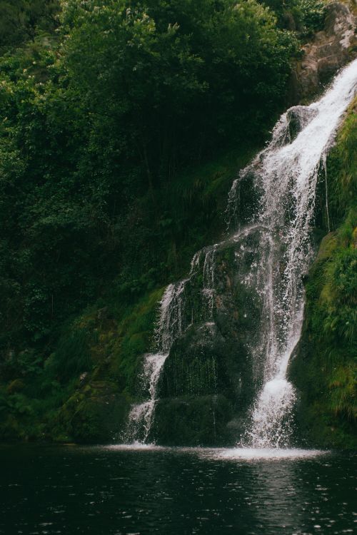 Free A tranquil waterfall cascading amidst lush greenery offers a peaceful nature scene. Stock Photo