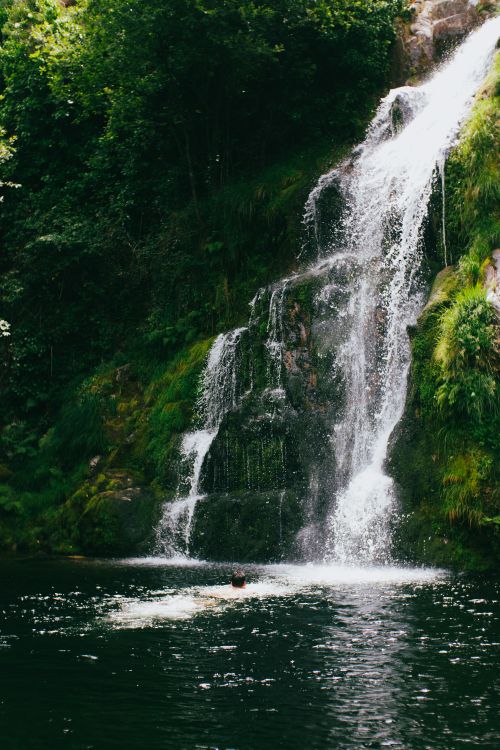 Free A person enjoys a refreshing swim near a stunning cascading waterfall in the forest. Stock Photo
