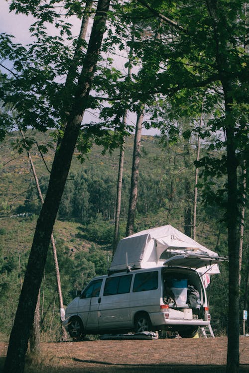 Camper Van Parked in the Woods