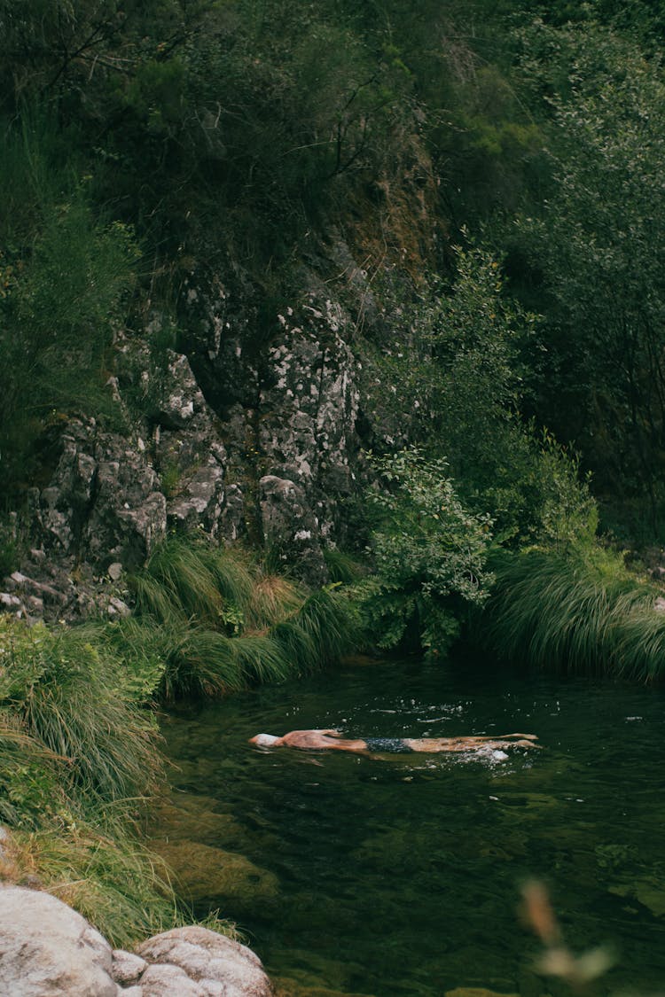 Man Swimming In River