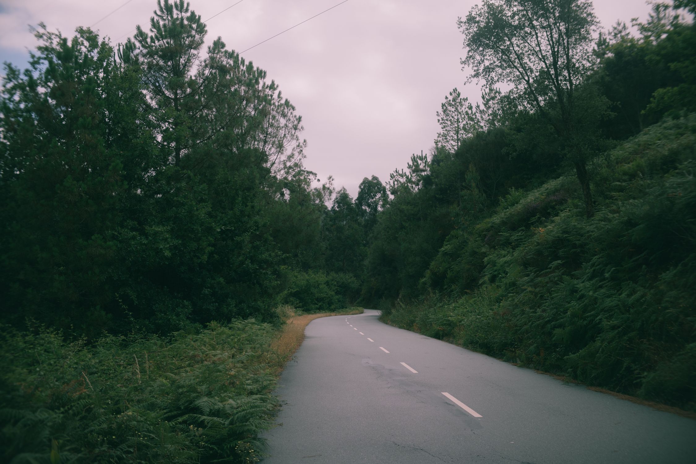 Tranquil winding road through lush forest in Terras de Bouro, Portugal.