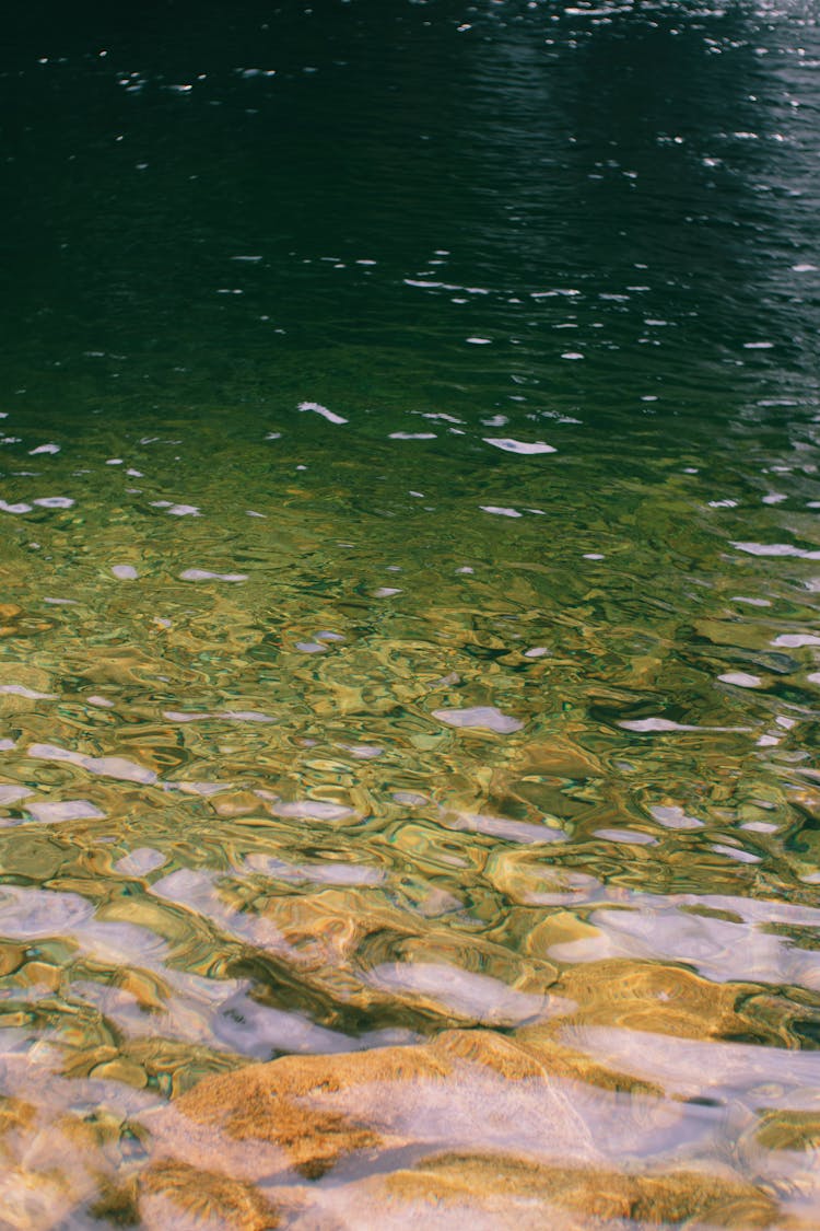 Clear Water In A Lake 