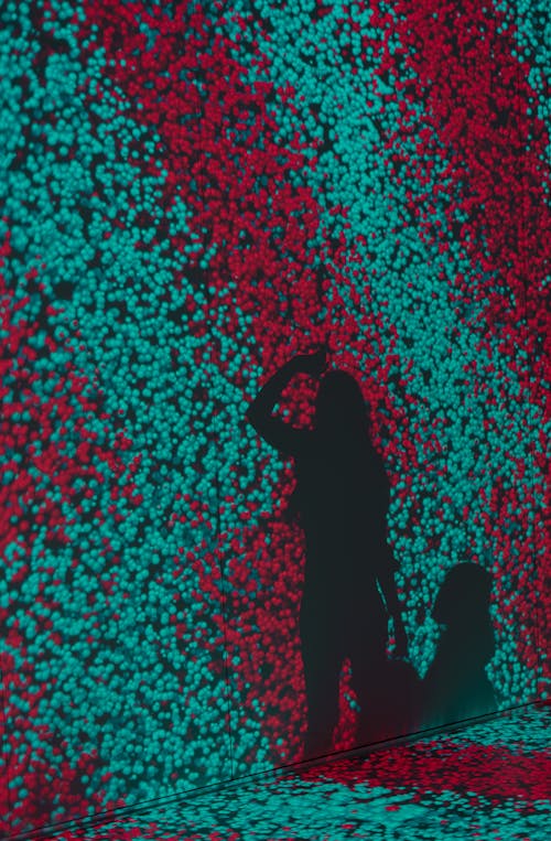 Silhouette of Woman and Man Standing on Red and Blue Lights