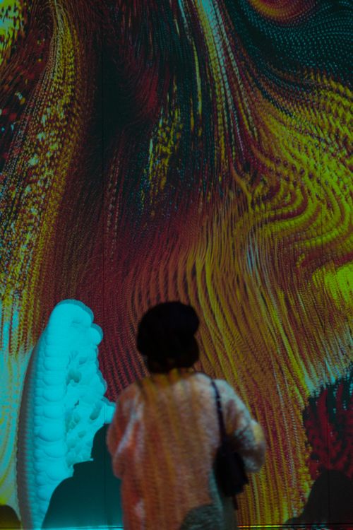 Free Silhouette of a person viewing a vibrant abstract light display in a gallery setting. Stock Photo