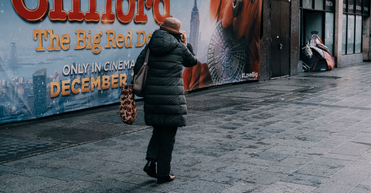 paddington