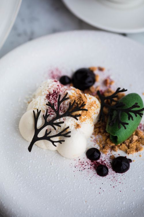 Free A sophisticated dessert featuring mousse, crumbles, black coral-like chocolate garnishes, and berries on a white plate. Stock Photo