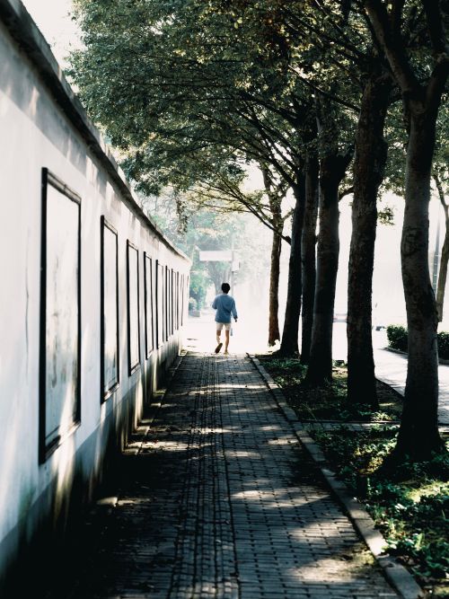 Free A person walks alone along a tree-lined sidewalk, casting shadows. Stock Photo