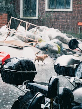 Motorcycle parked on rainy street with stray dog passing by urban debris.