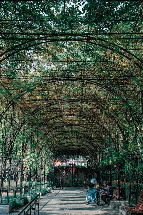 Gratis lagerfoto af folk, gangbro, grøn tunnel