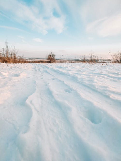 Free A Snow Covered Field in Winter Stock Photo