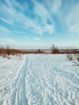 A tranquil snow-covered field under a bright blue sky, capturing the essence of winter's calm in nature.