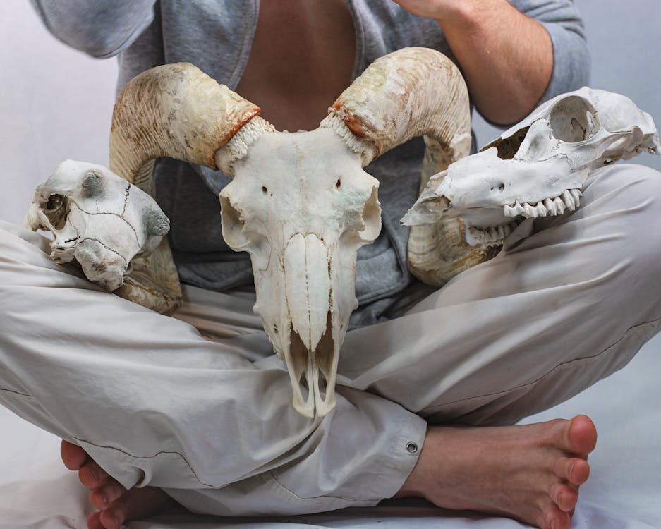 Free Person with Skull Bones on his Lap Stock Photo