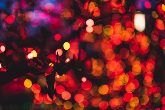 Blurry festive lights in red and yellow create a warm bokeh effect, perfect for holiday themes.