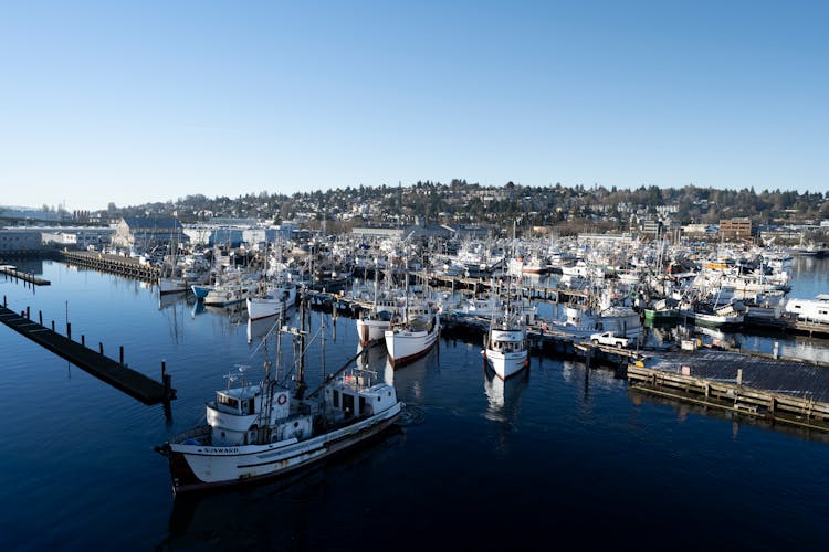 View Of A Port