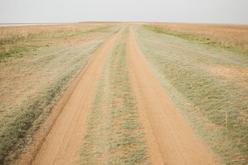 Brown Dirt Road Between Green Grass Field