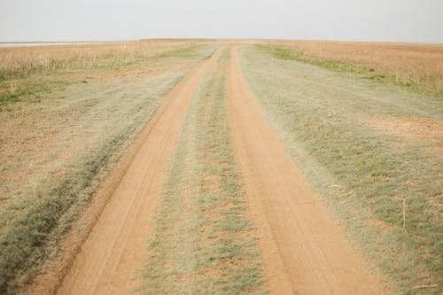 Foto d'estoc gratuïta de camí, camí de carro, camp