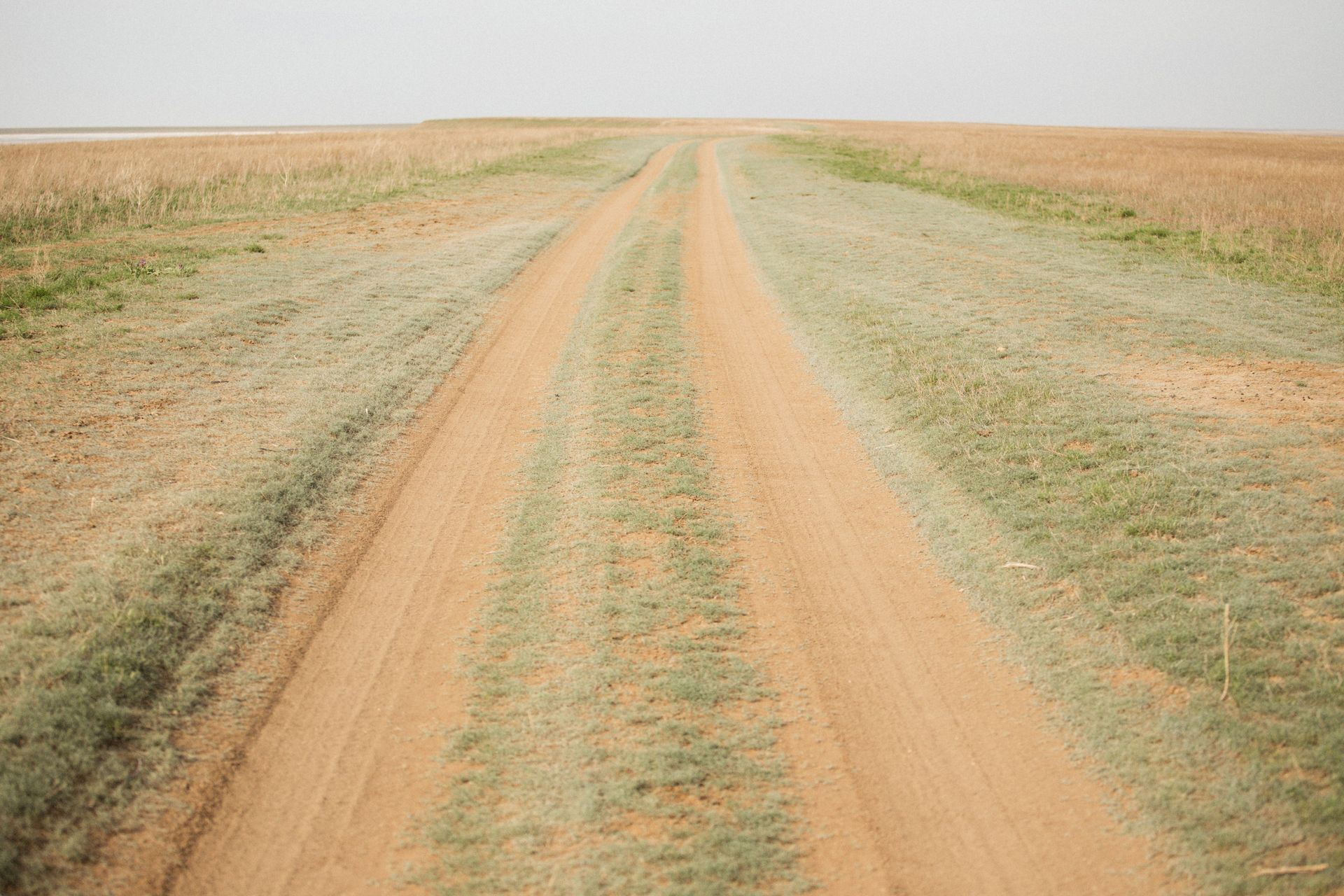 Şafakta savanaya açılan ıssız bir kırsal yol