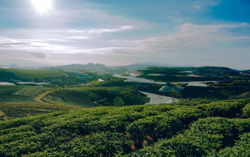 Free Captivating view of lush green fields and hills under a bright sky. Stock Photo
