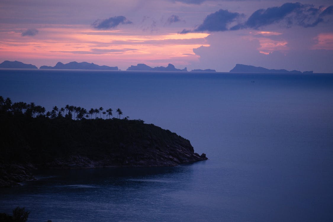 ada, ağaçlar, akşam içeren Ücretsiz stok fotoğraf