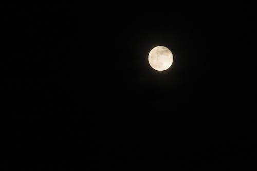 Gratis lagerfoto af fuldmåne, måne, mørk