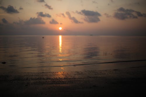 View of the Sunset From the Beach