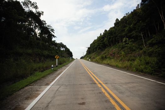 Empty highway stretching through lush green forest under a blue sky.