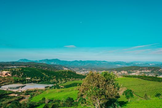 Expansive summer farmland landscape with mountain views and lush greenery. Ideal for nature and travel imagery.