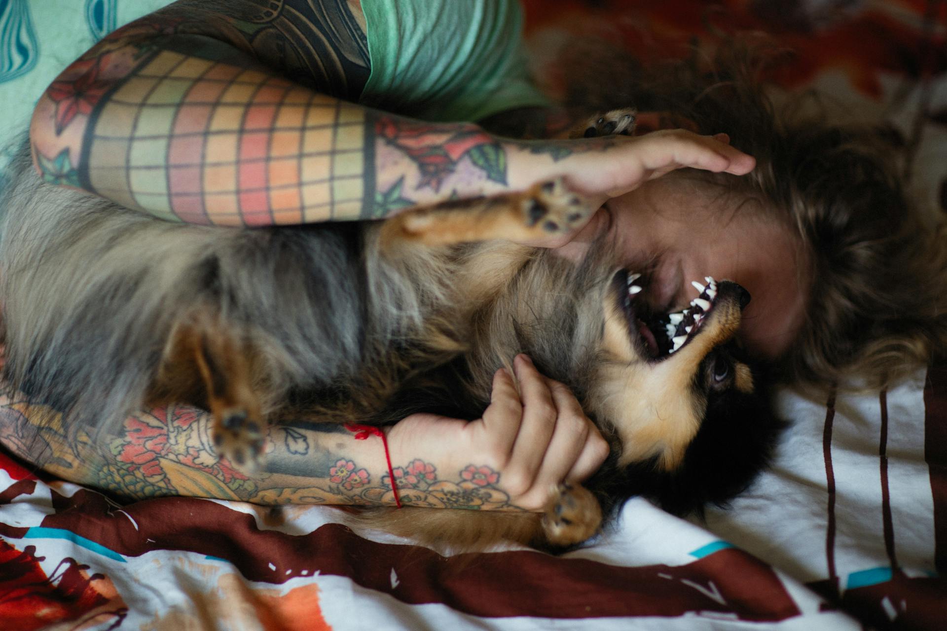 Tattooed Person Hugging a Black and Brown Dog