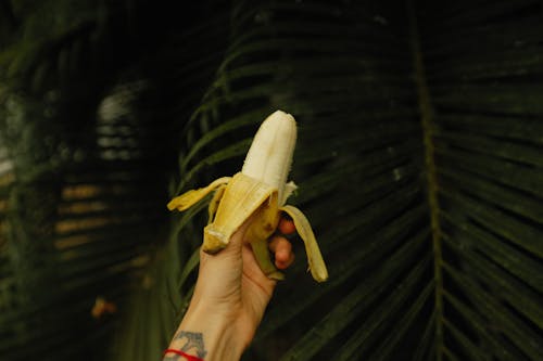 Free Person Holding Banana  Stock Photo