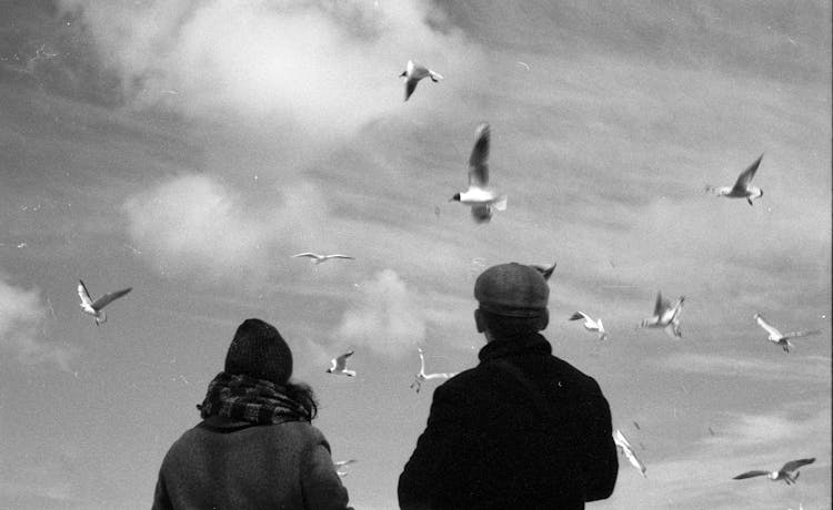 Grayscale Photo Of Man And Woman Watching The Flying Birds