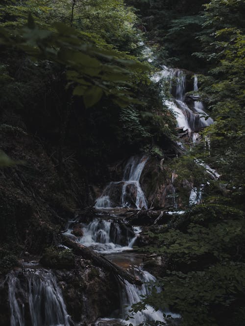 Free Cascading Waterfall in the Middle of Green Trees Stock Photo