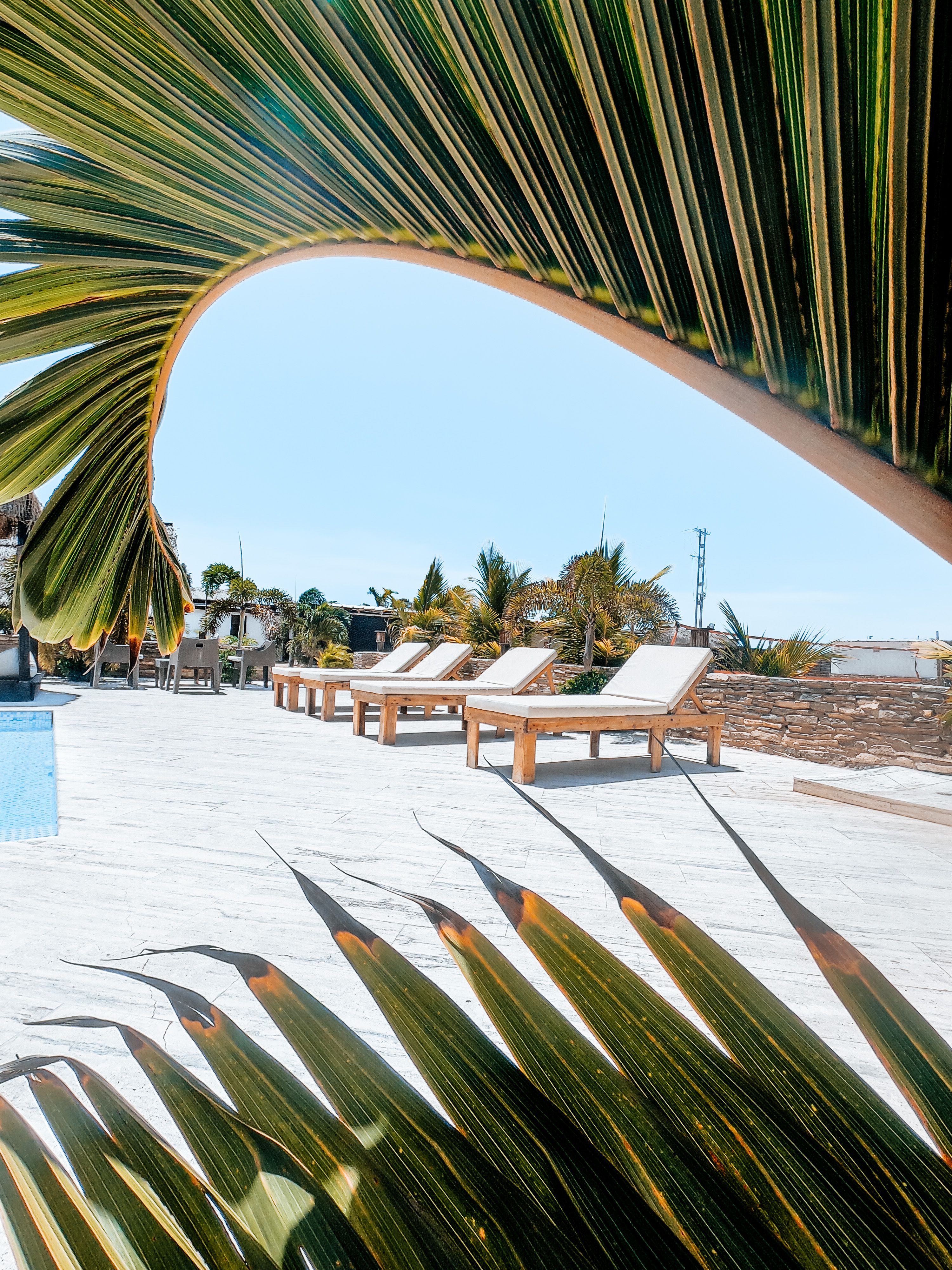 White Wooden Lounge Chairs Near Swimming Pool · Free Stock Photo