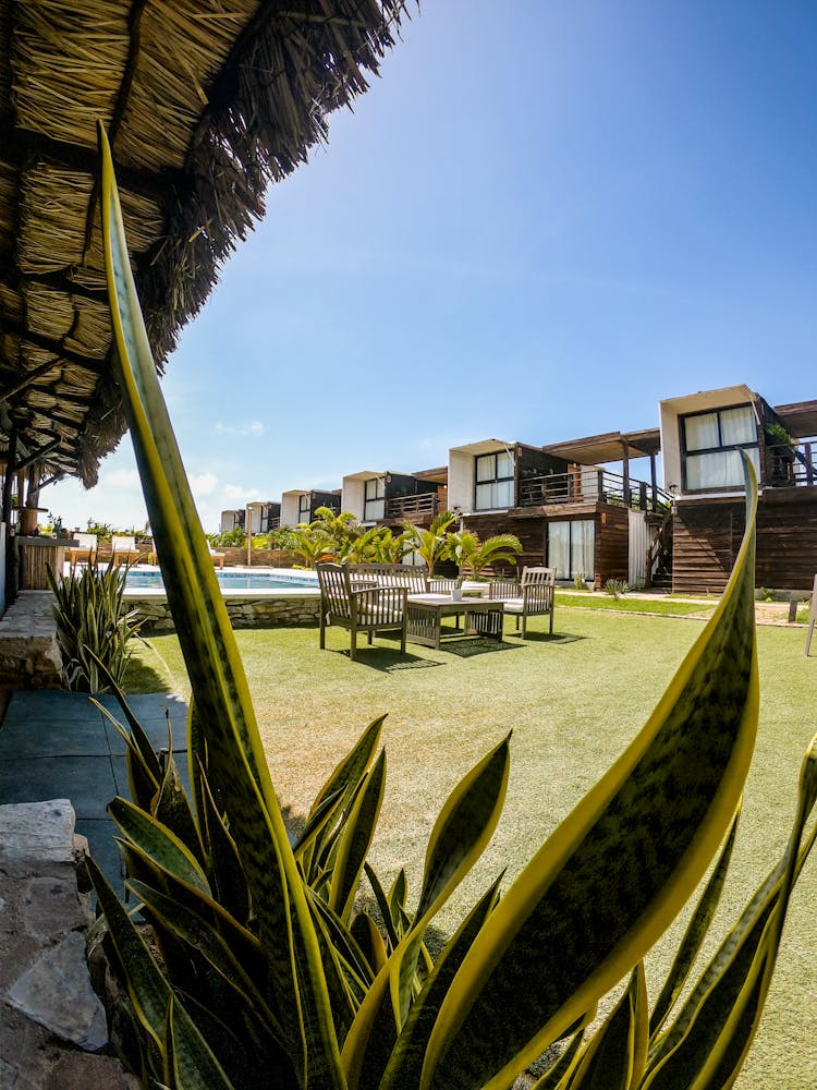 Furniture On Lawn Grass Beside The Pool