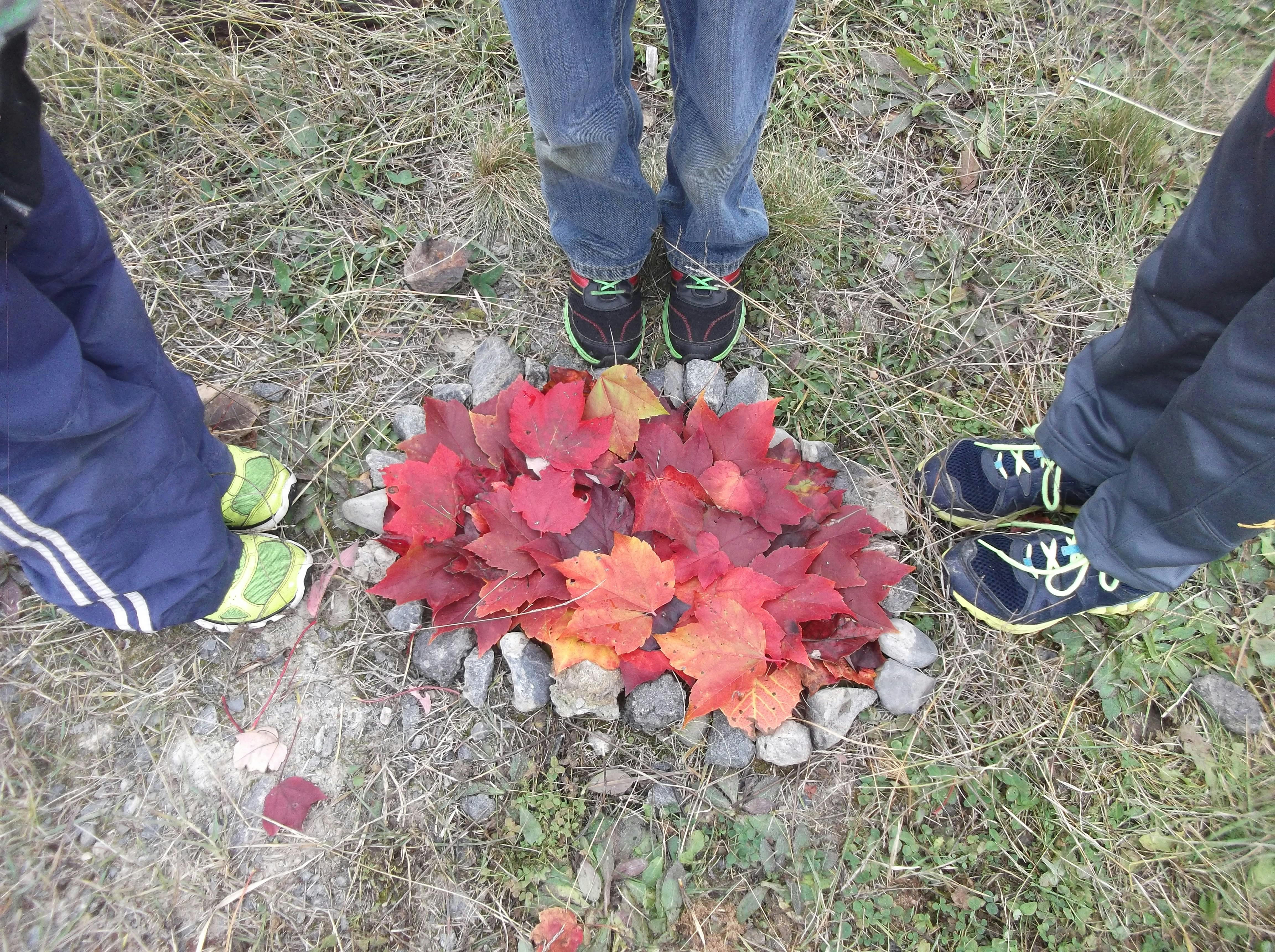 Free stock photo of autumn leaves, feet, land art