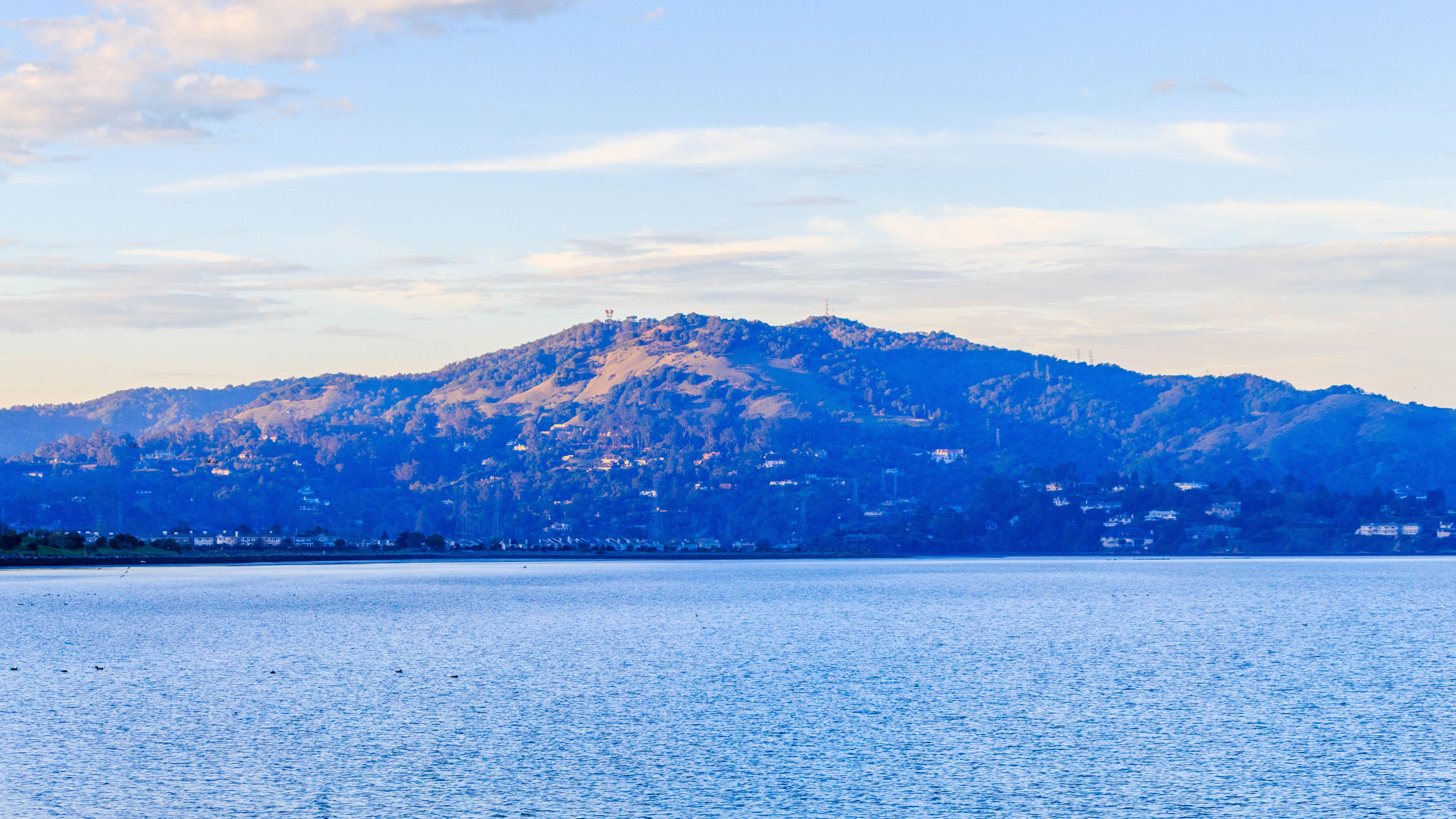 Simplilearn and UC Santa Barbara Launch AI and Machine Learning Certificate Program — Photo by Robert So on Pexels